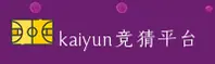 使用指南与常见问题
